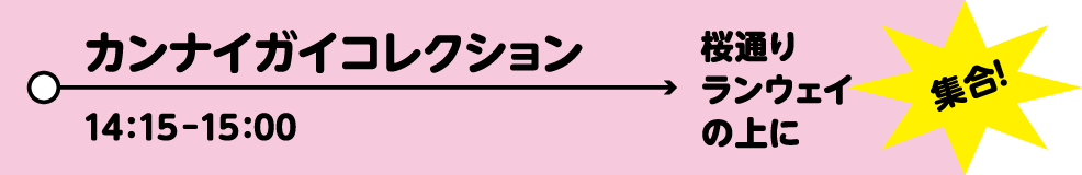 カンナイガイコレクション